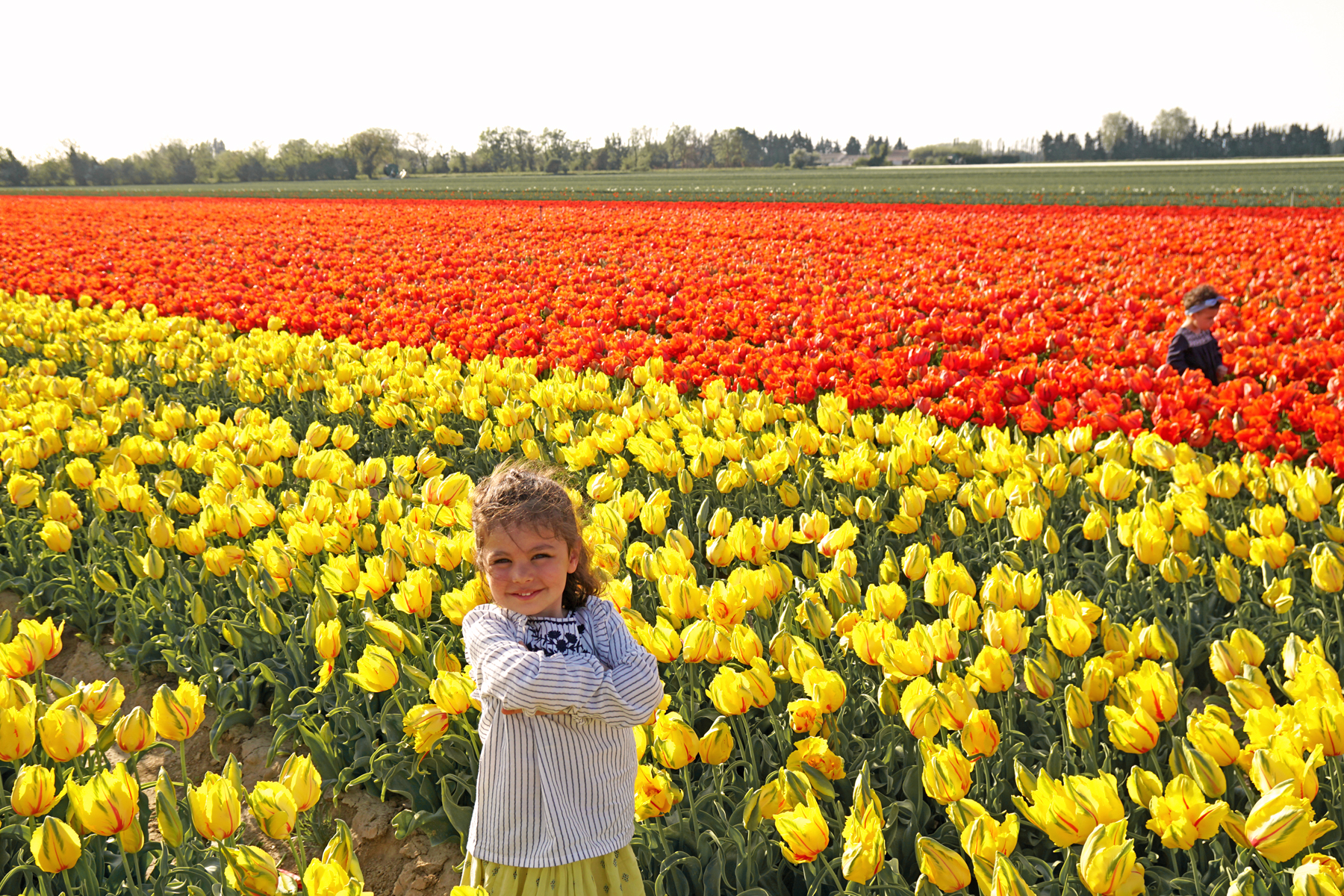 Petites filles dans un champs de tulipes