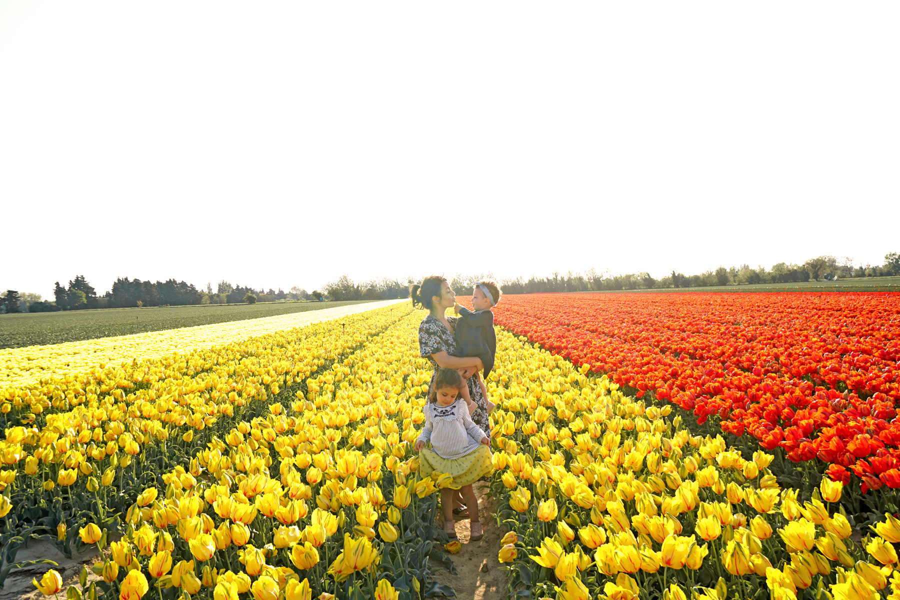 Famille dans un champs de tulipes