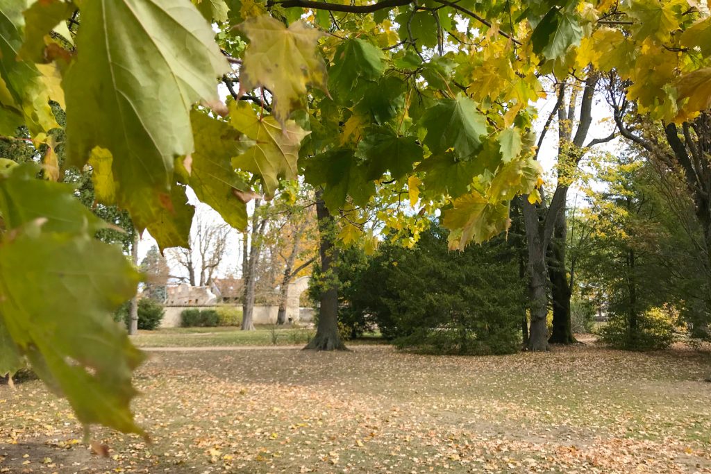 Parc de Beauregard en automne