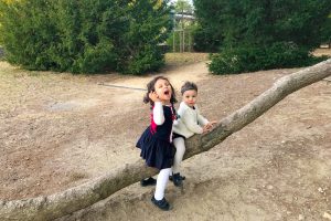 Enfants sur un arbre au parc de Beauregard en automne