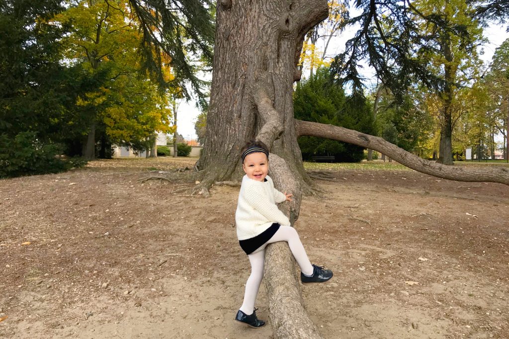 Enfant sur un arbre au parc de Beauregard en automne