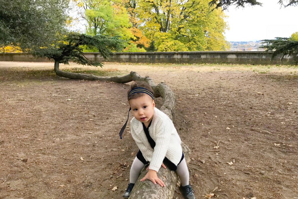 Enfant sur un arbre au parc de Beauregard en automne