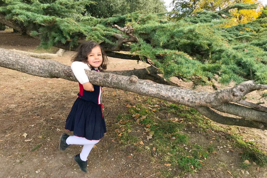 Enfant sur un arbre au parc de Beauregard en automne