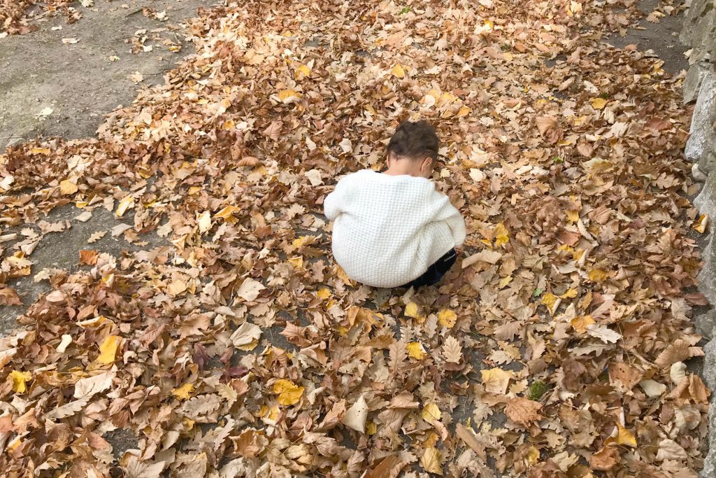 Enfant sur les feuilles au parc de Beauregard en automne