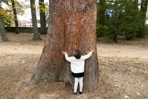 Enfant et arbre au parc de Beauregard en automne