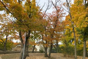 Le parc de Beauregard en automne