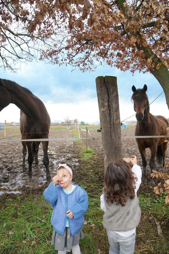 Papa absent, des sœurs vont nourrir les chevaux