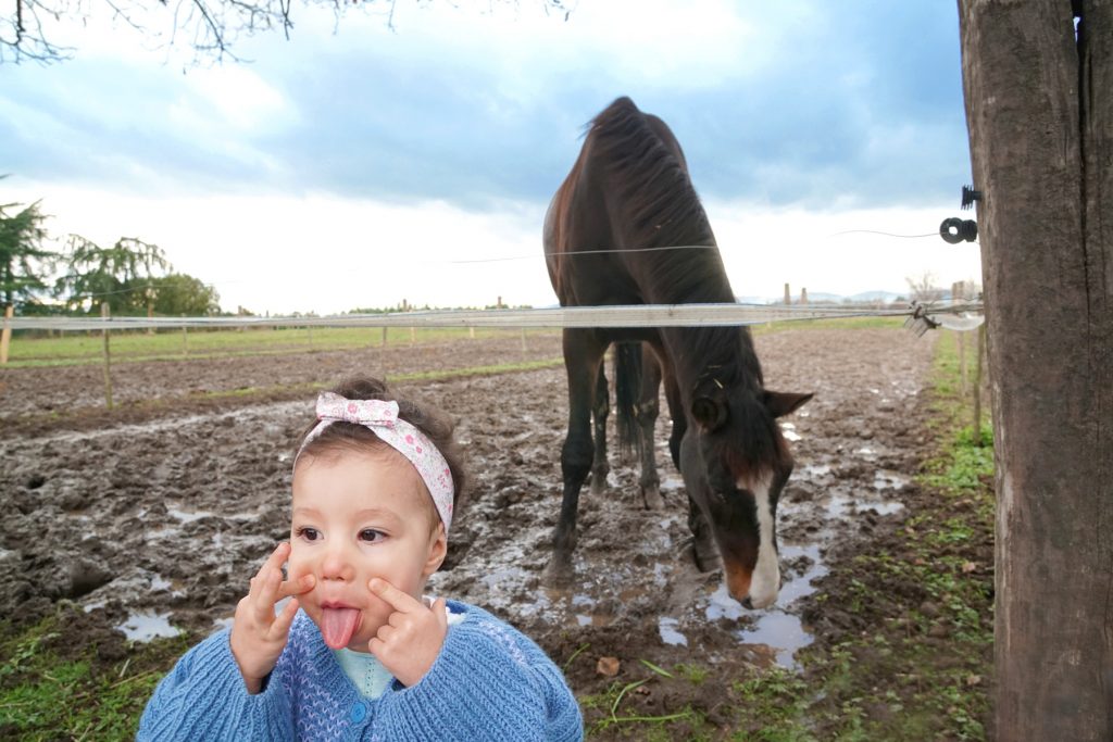 Papa absent, une fille va nourrir les chevaux