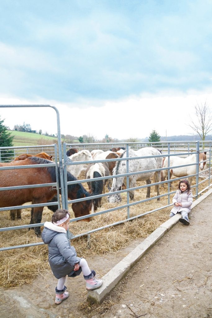 Papa absent, des sœurs observent les chevaux