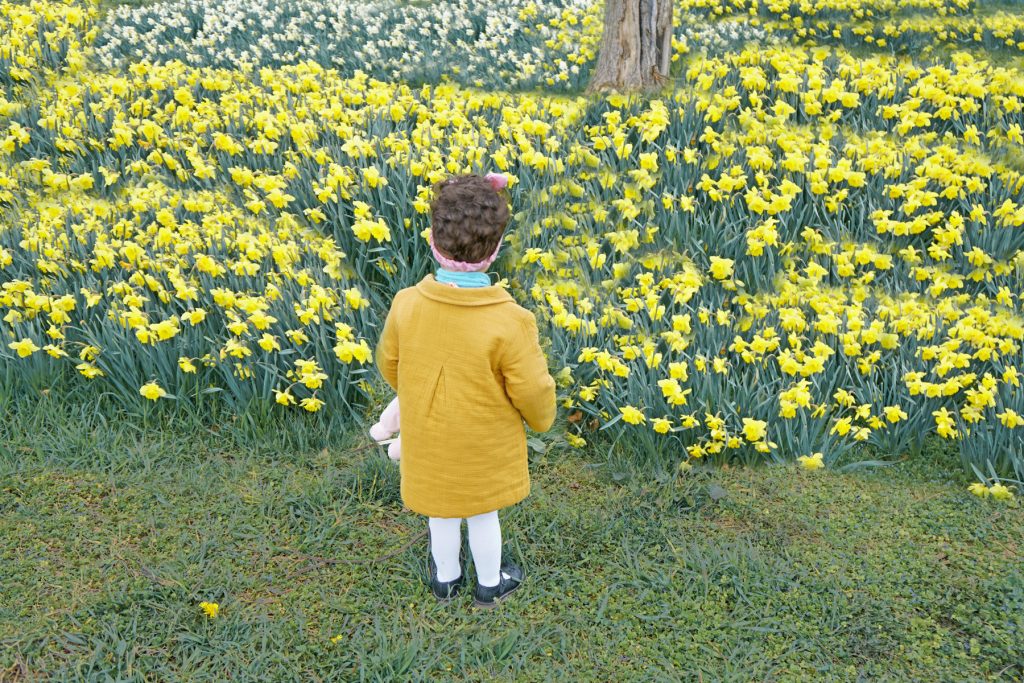 Petite fille regarde les jonquilles