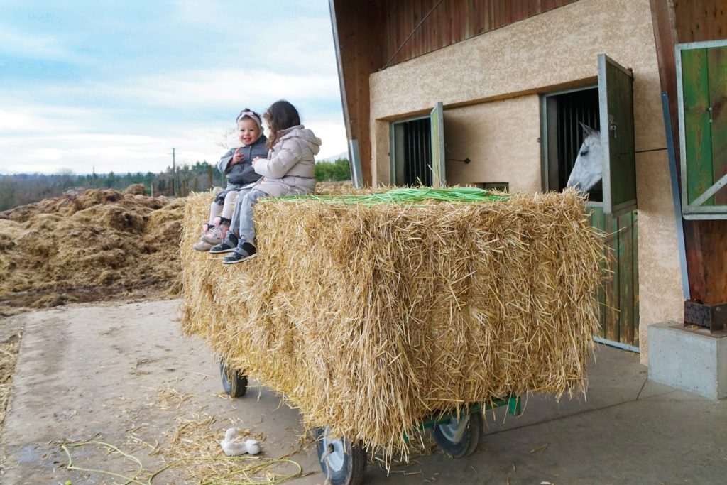 Papa absent, des sœurs sur le foin