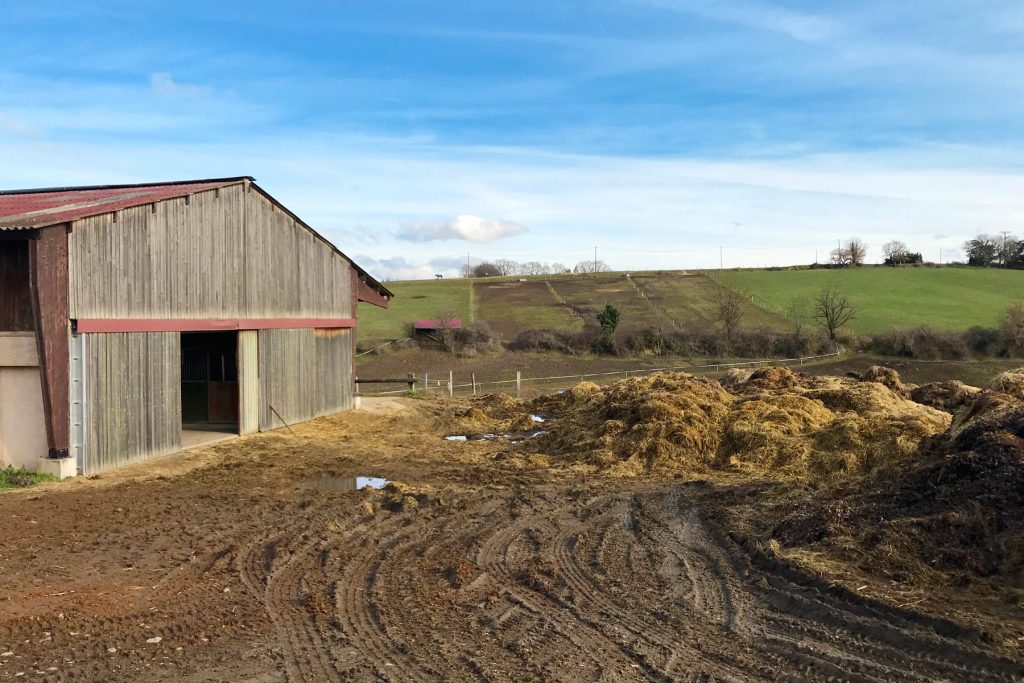 Papa absent, après-midi à la ferme
