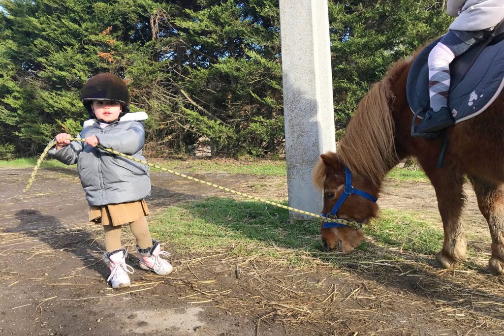 Papa absent, des sœurs font du poney