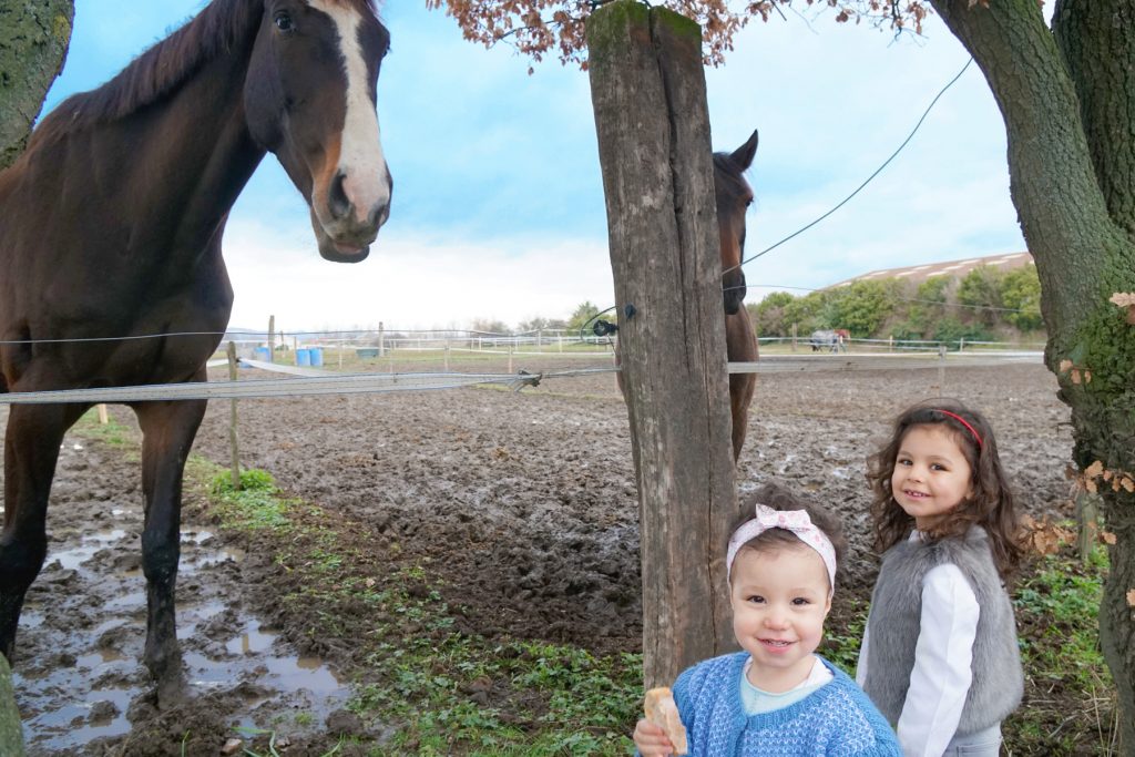Papa absent, des sœurs vont nourrir les chevaux