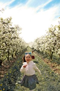 Petite fille au milieu des arbres fruitiers