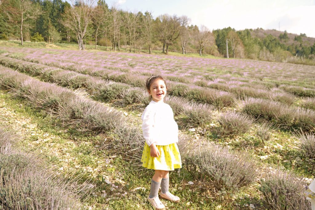Petite fille, route des lavandes, Drôme provençale