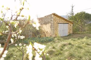 Maisonnette en pierre, Drôme provençale