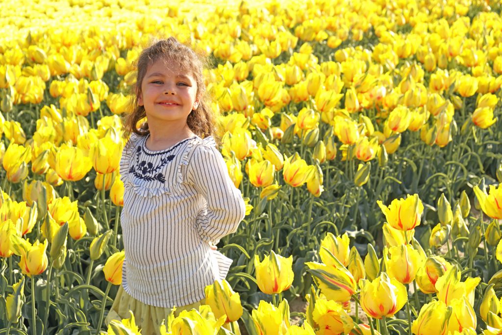 Petite fille dans un champs de tulipes