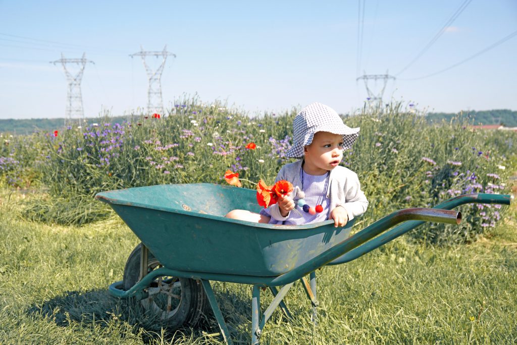 Petite fille dans un champs de fleurs à Fraisochamp, Thil