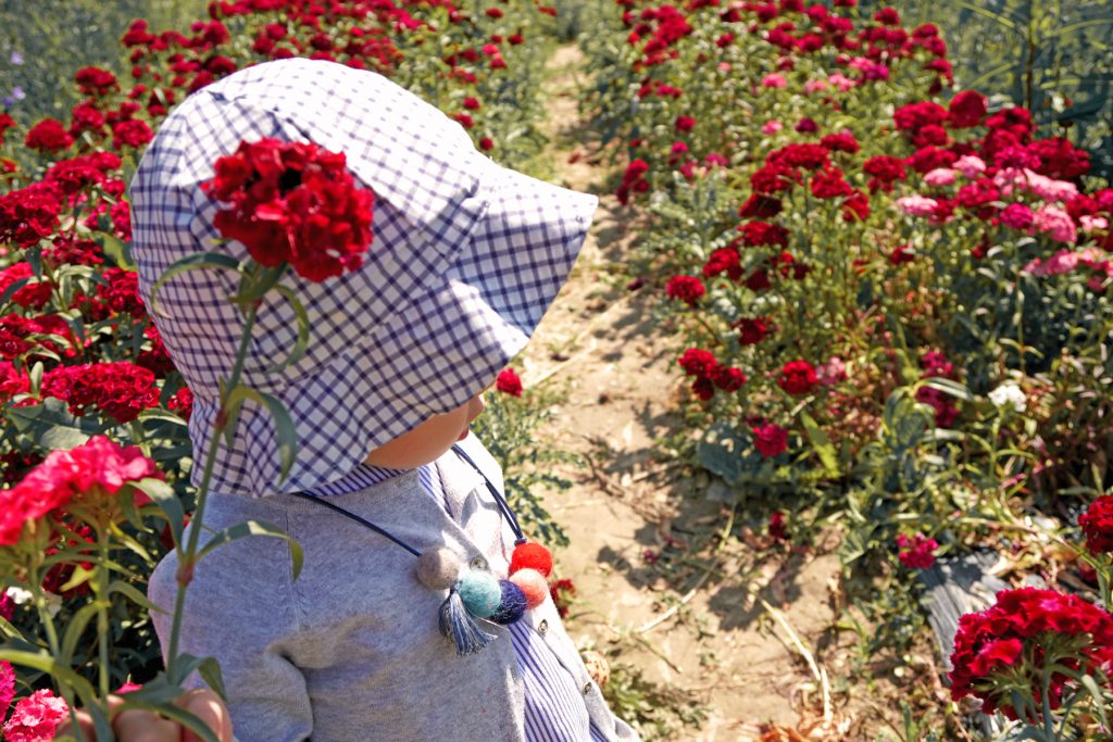 Petite fille dans un champs de fleurs à Fraisochamp, Thil