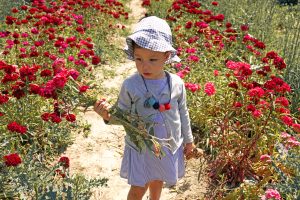 Petite fille dans un champs de fleurs à Fraisochamp, Thil