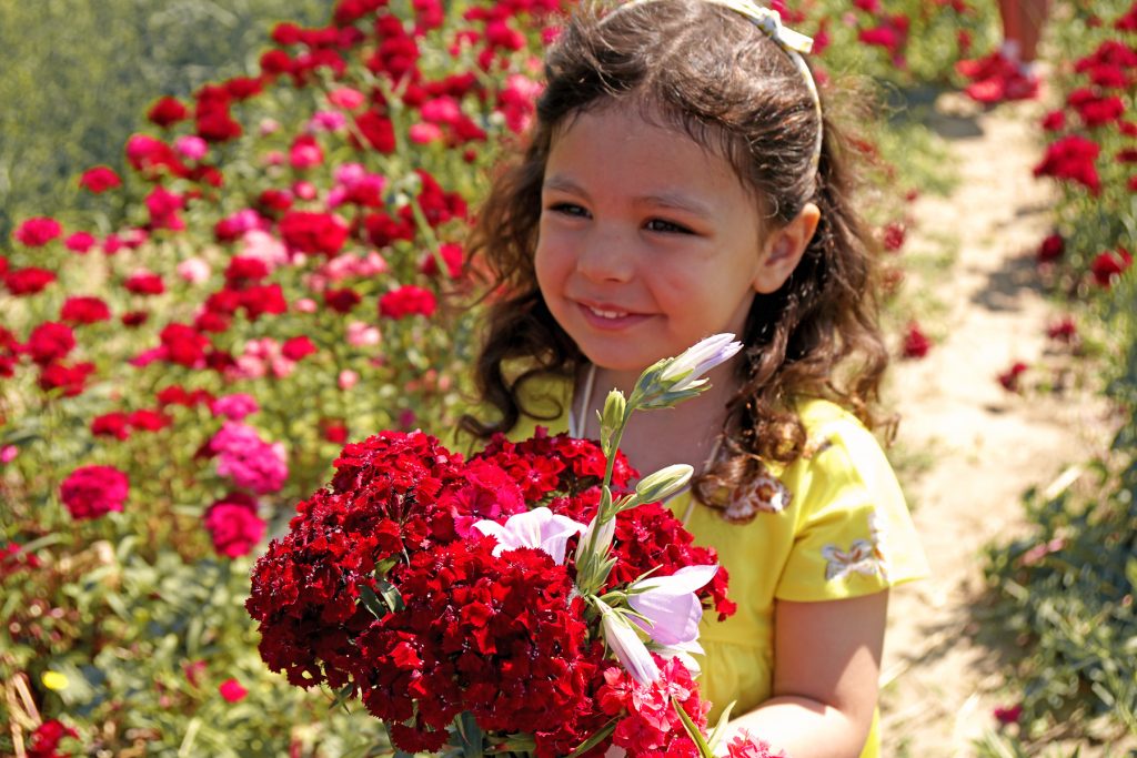 Petite fille dans un champs de fleurs à Fraisochamp, Thil
