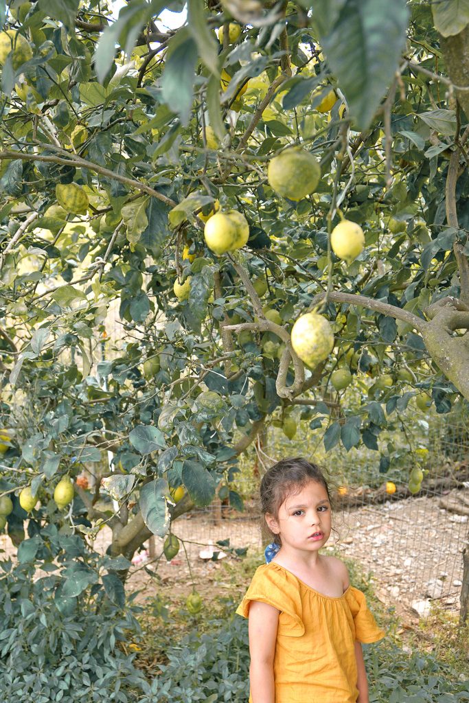Petite fille et citronnier