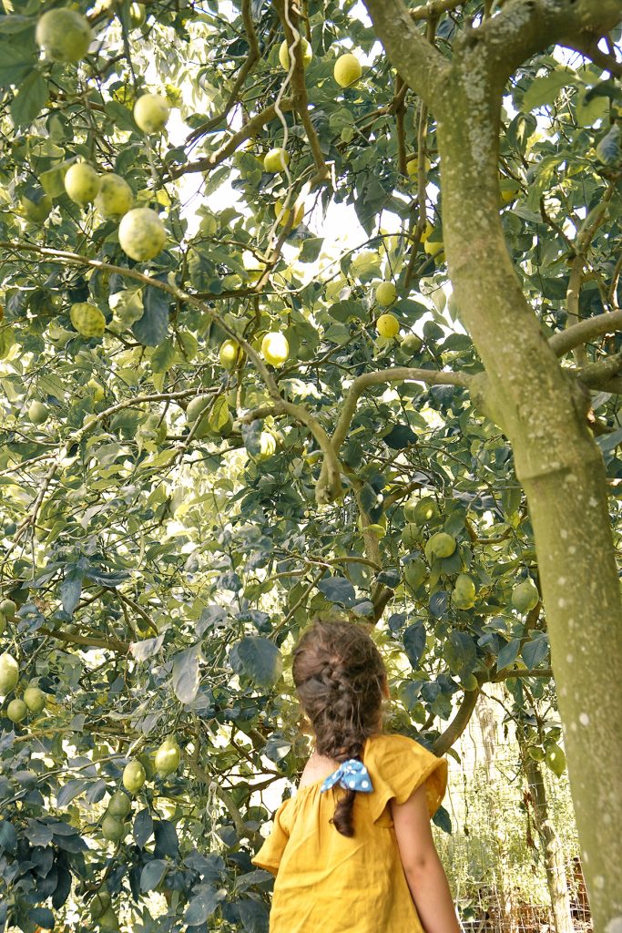 Petite fille aux citrons