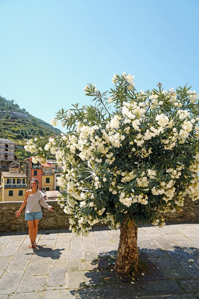 Riomaggiore