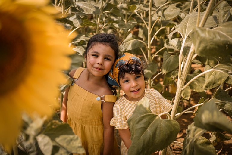Campagne, 2 petites filles au milieu des champs de tournesols