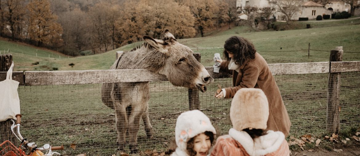 Fou rire d'une famille. au parc de Lacroix Laval, rencontre avec un âne.