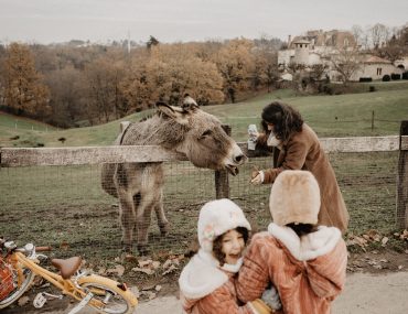 Fou rire d'une famille. au parc de Lacroix Laval, rencontre avec un âne.